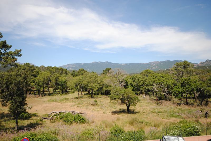 Vue depuis la terrasse sur la forêt de chênes-lièges et les montagnes